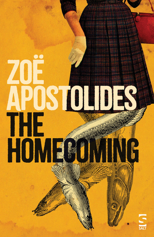 The Homecoming by Zoë Apostolides