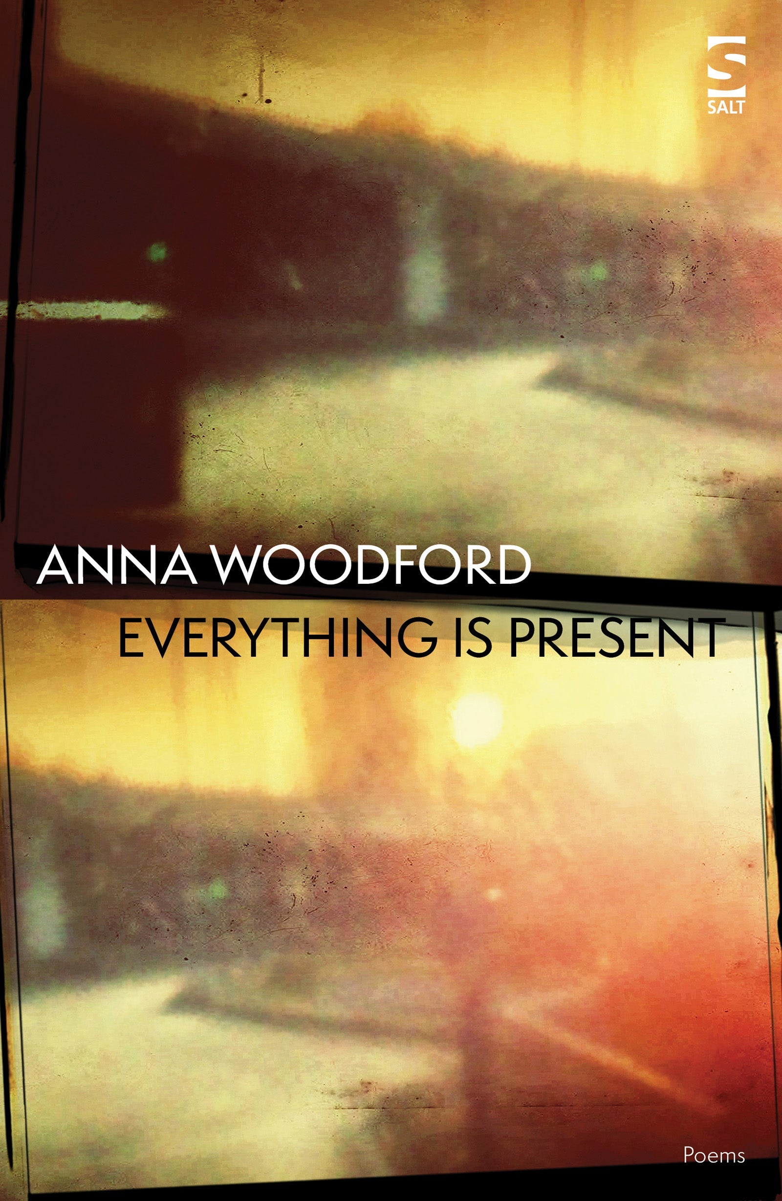 Everything is Present by Anna Woodford