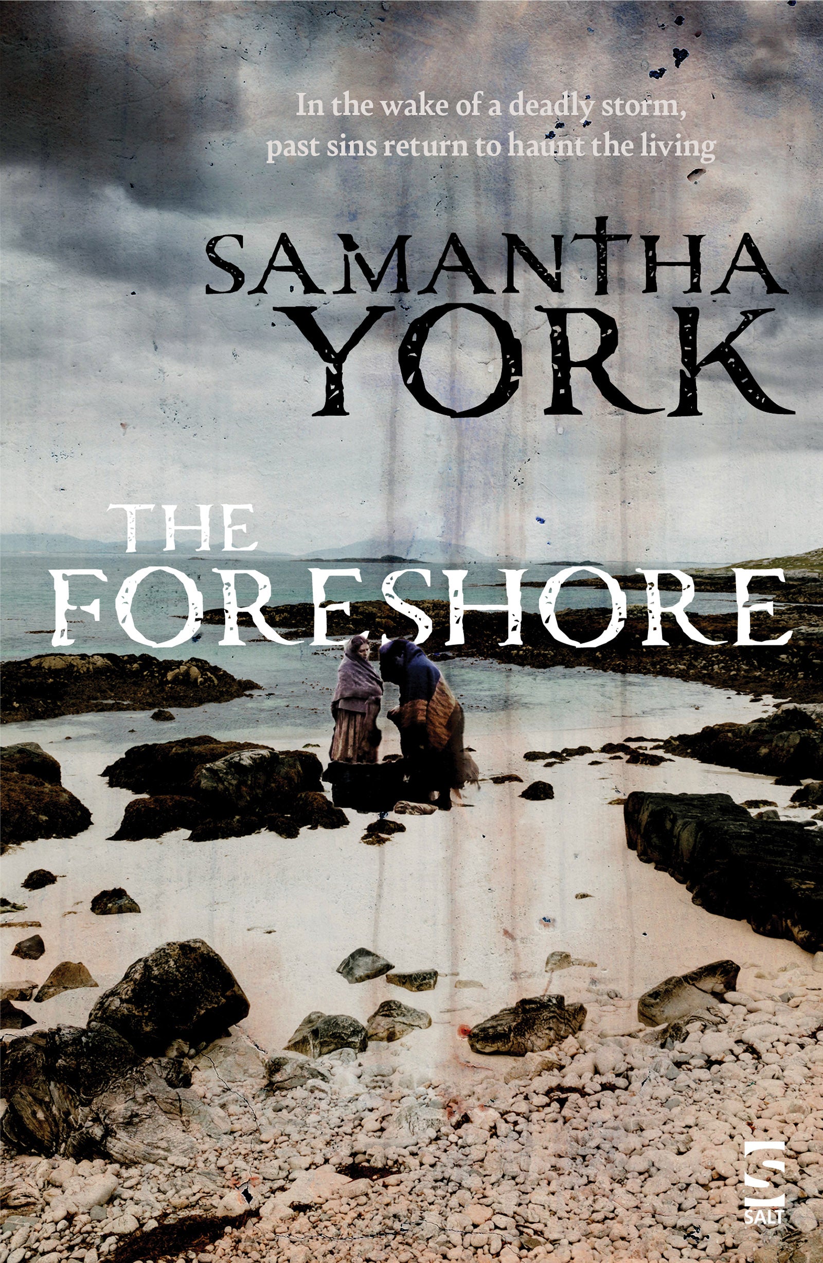 The Foreshore by Samantha York