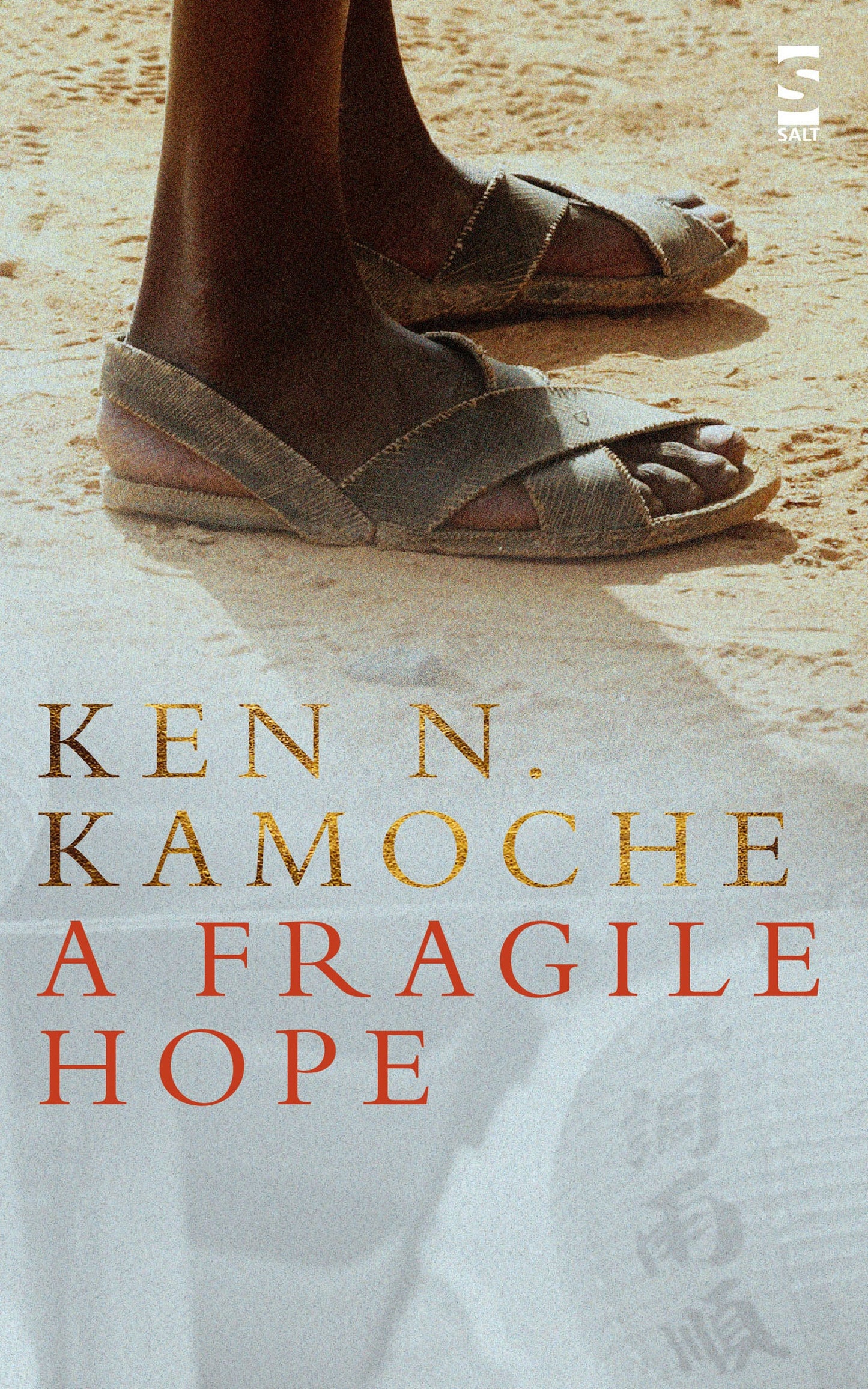 A Fragile Hope by Ken N. Kamoche